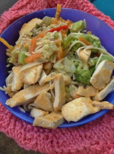 Simple Vegan Stir Fry with Gardein Chick'n