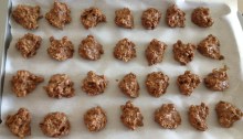 Peanut Butter Shakeology No Bake Freezer Cookies