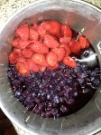Sugar Free Blueberry and StraweBerry Jam