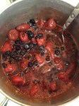 Sugar Free Blueberry and StraweBerry Jam