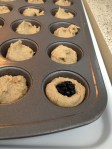 Vegan Sugar Free and Gluten Free Blackberry Protein Mini-Muffins