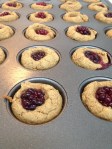 Vegan Sugar Free and Gluten Free Blackberry Protein Mini-Muffins