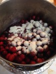 Cranberry and Blueberry Sauce