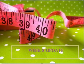 Week 8 Update