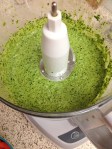 Creamy Cilantro Pesto
