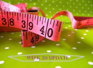 Week 20 Update