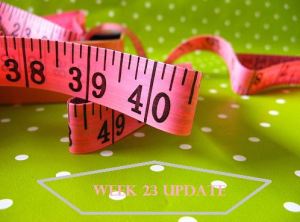 Week 23 Update
