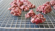 Vegan, Gluten-Free and Sugar-Free Tart Raspberry Oat Cookies