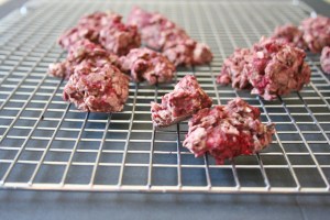 Vegan, Gluten-Free and Sugar-Free Tart Raspberry Oat Cookies 