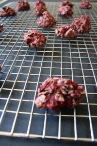 Vegan, Gluten-Free and Sugar-Free Tart Raspberry Oat Cookies 