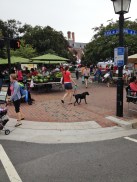 Alexandria Farmers Market
