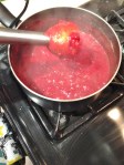 Vegan and Gluten-Free Cranberry Pear Sauce