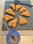 Vegan and Gluten-Free Pumpkin Gingerbread Scones