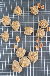 Vegan & Gluten-free Dried Mango Cookies