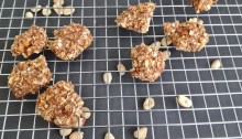Vegan, Gluten- & Sugar-Free No Bake PB Oatmeal Cookies