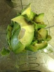 Avocado Pesto