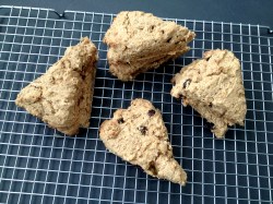 Clean Eating Vegan and GF Sweet Cornbread Scones