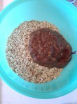 Vegan and Gluten-Free Breakfast Goody - Carrot Cake Baked Oatmeal