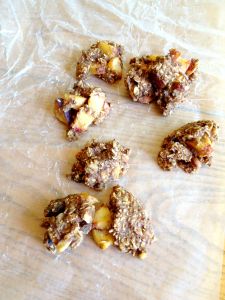 Vegan and Gluten-Free Summer Breakfast Cookies - Perfect for Fall when you are missing those summer nectarines!