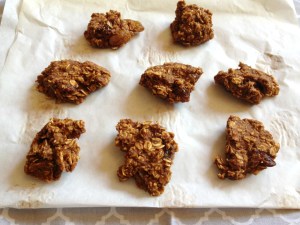Vegan, Gluten-Free and Sugar-Free Maple Sweetened Pumpkin Oatmeal CookiesVegan, Gluten-Free and Sugar-Free Maple Sweetened Pumpkin Oatmeal Cookies