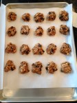 Decedent Vegan and Gluten-Free Dark Chocolate PB Oatmeal Cookies