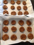 Holiday Baking Time! Vegan and Gluten-Free Chocolate Covered PB Pretzel Cookies