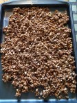 Vegan and Gluten-Free Chocolate Bottomed Granola