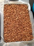 Vegan and Gluten-Free Chocolate Bottomed Granola
