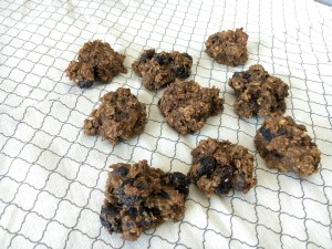 Vegan and Gluten-Free Chocolate Banana Protein Cookies