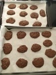 Vegan and Gluten-Free Mocha Chocolate Chip Cookies