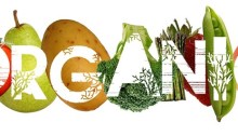 Organic Banner