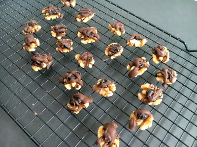 Vegan and Gluten-Free Chocolate Walnut Blueberry Bites - the perfect, and easiest, little snack ever!!