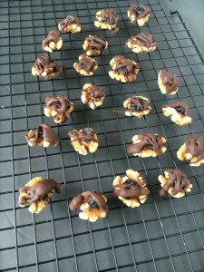 Vegan and Gluten-Free Chocolate Walnut Blueberry Bites - the perfect, and easiest, little snack ever!!