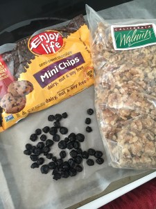 Vegan and Gluten-Free Chocolate Walnut Blueberry Bites - the perfect, and easiest, little snack ever!!