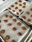 Best Pumpkin Cookies Ever! Vegan and Gluten-Free Soft and Delicious Pumpkin Chocolate Chip Oatmeal Cookies