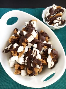 Vegan and Gluten-Free Ginger Cookie S'Mores for the Win!