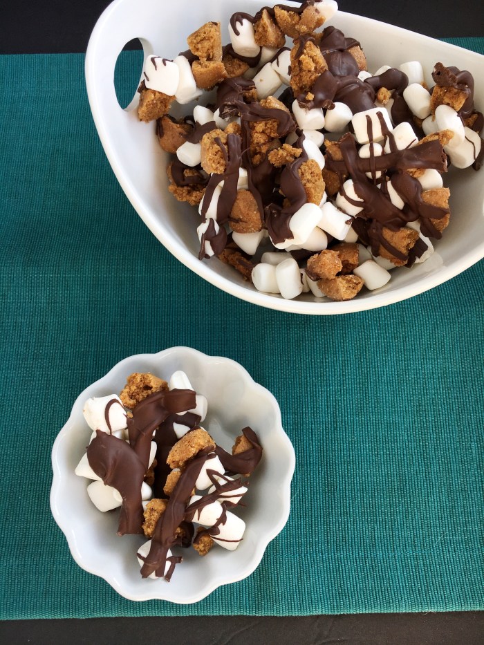 Vegan and Gluten-Free Ginger Cookie S'Mores for the Win!